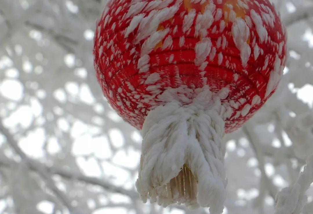 聆听 | 新年颂歌(爱莲说朗诵作品)