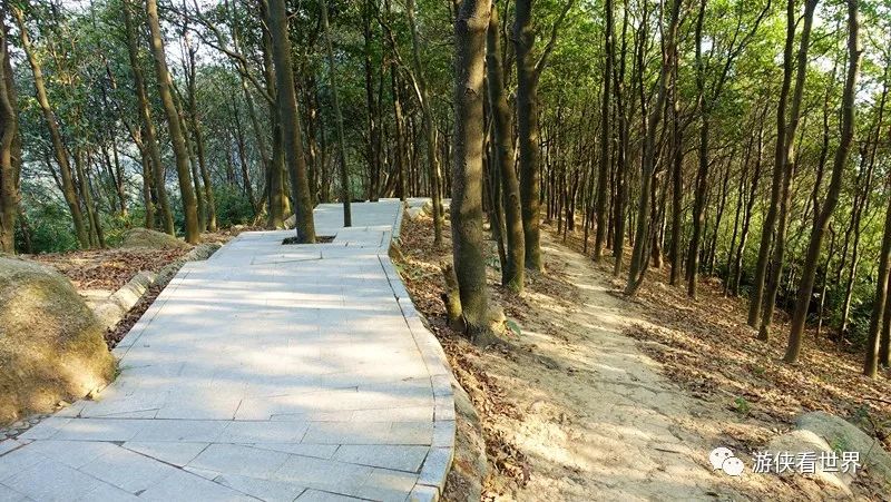 深圳:羊台山徒步路線攻略_登山