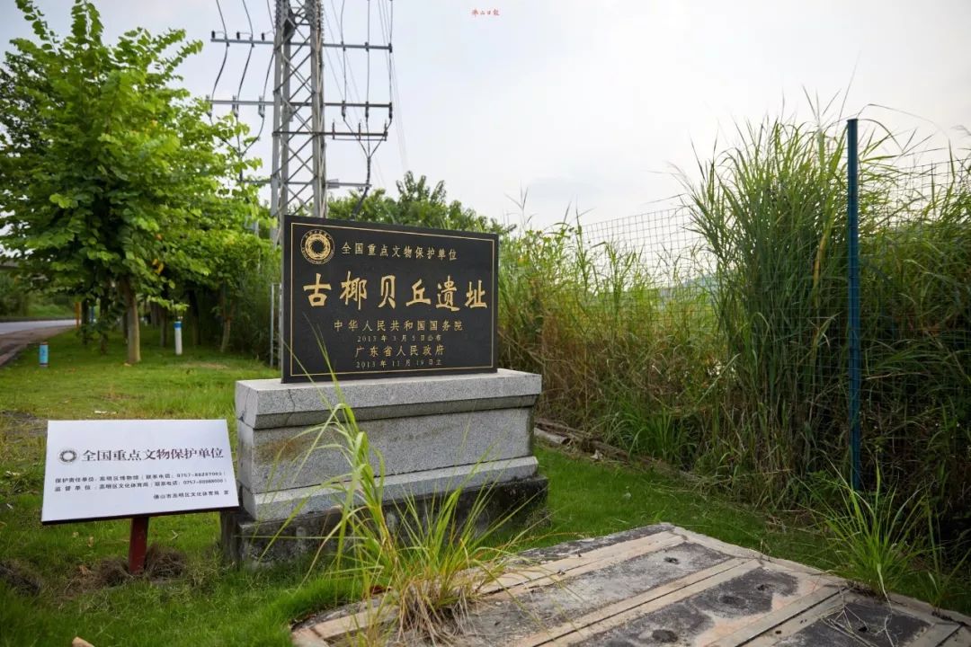 古椰贝丘遗址还有一个消息让人期待.