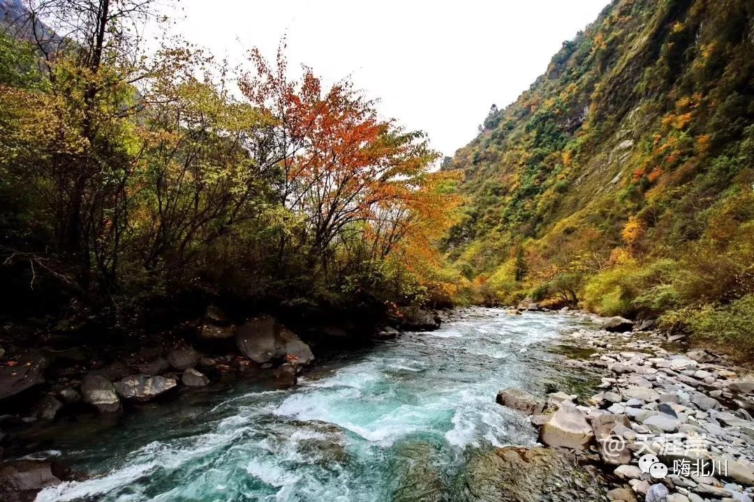 北川县长向全世界这样推介北川让你想不到