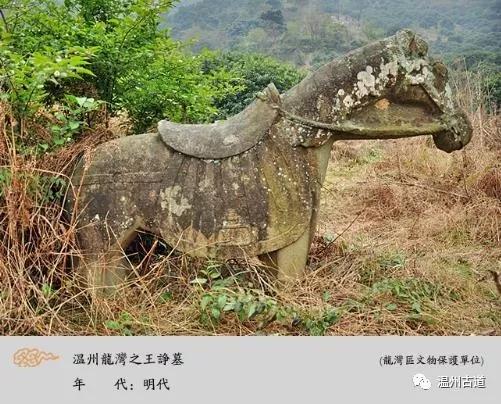 原创温州龙湾王诤墓