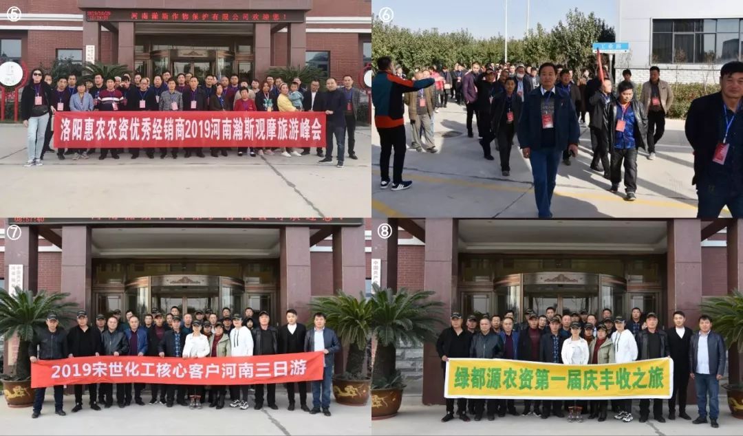 小麦种子:现代农业的绿色钥匙