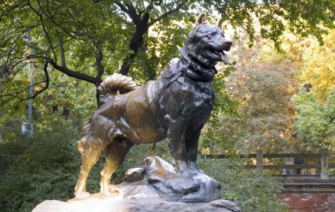 国产电影太缺这样的主角_多哥