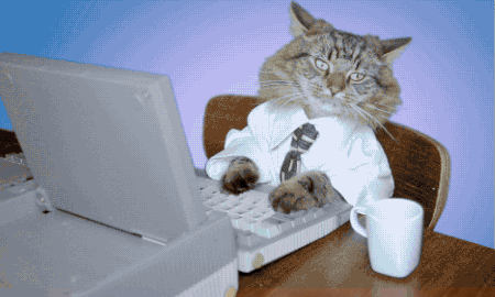 如果你的猫出现这些举动,要小心了…_电脑
