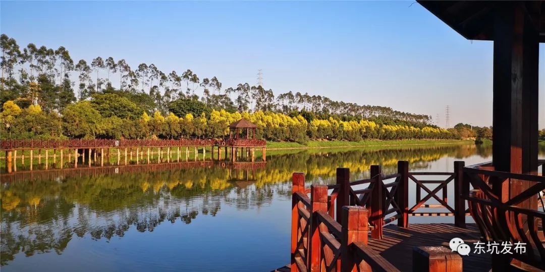 快来为我们东坑农业园投票吧l!