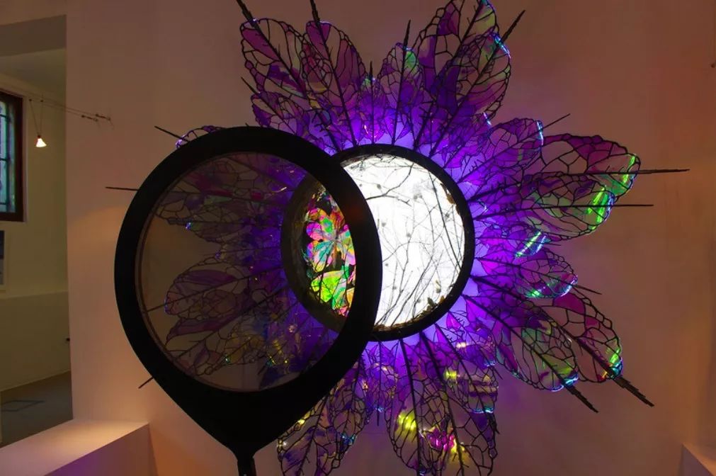 维多利亚大学的科学家利用光线原理创造出美轮美奂的艺术品