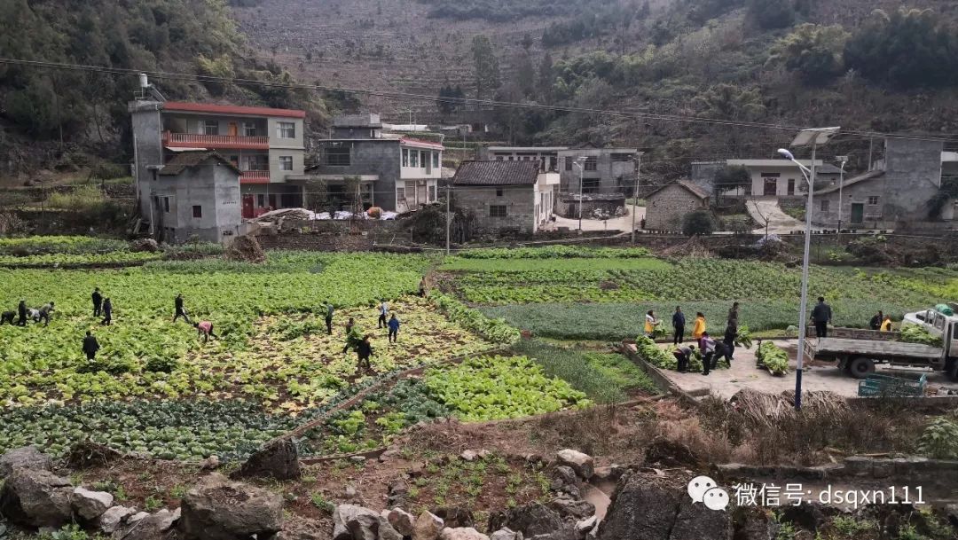 兴义市郑屯镇图片