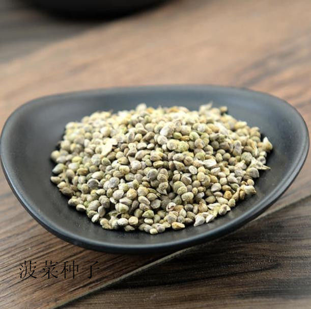 农民种菠菜,掌握好播种技术,出苗率高,有助于高产_种子