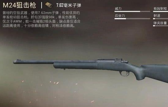 awm不再强势,m24不再辉煌,这把狙击枪成最新上分神器