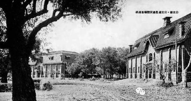 探秘百年公主岭