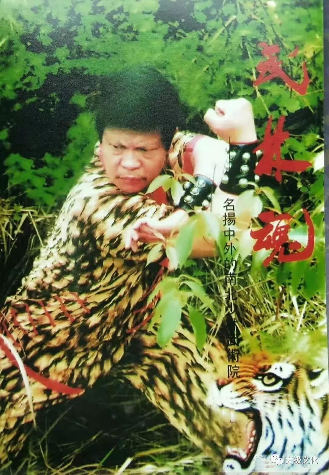 一枝独秀梅山开】记梅山太极拳创始人邹寿福先生_武术