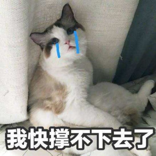 留学生还能留下来吗?