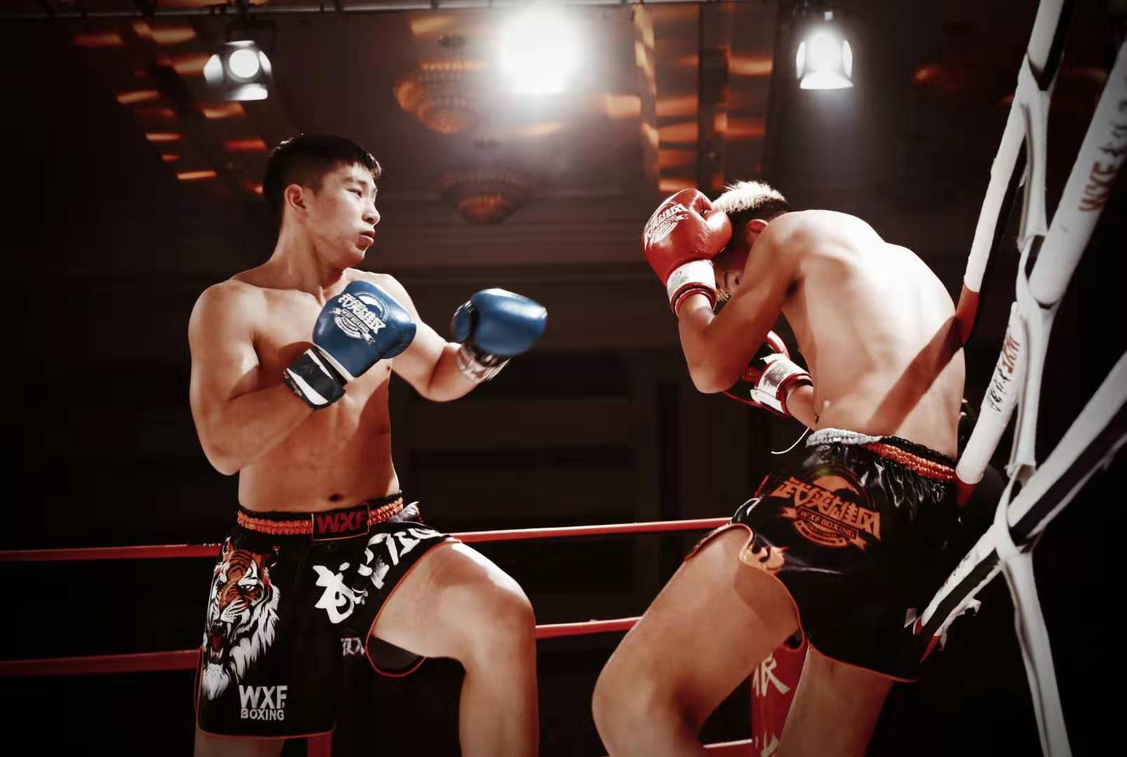 五粮液~拳王争霸之夜,在金庸家乡举办_赛区