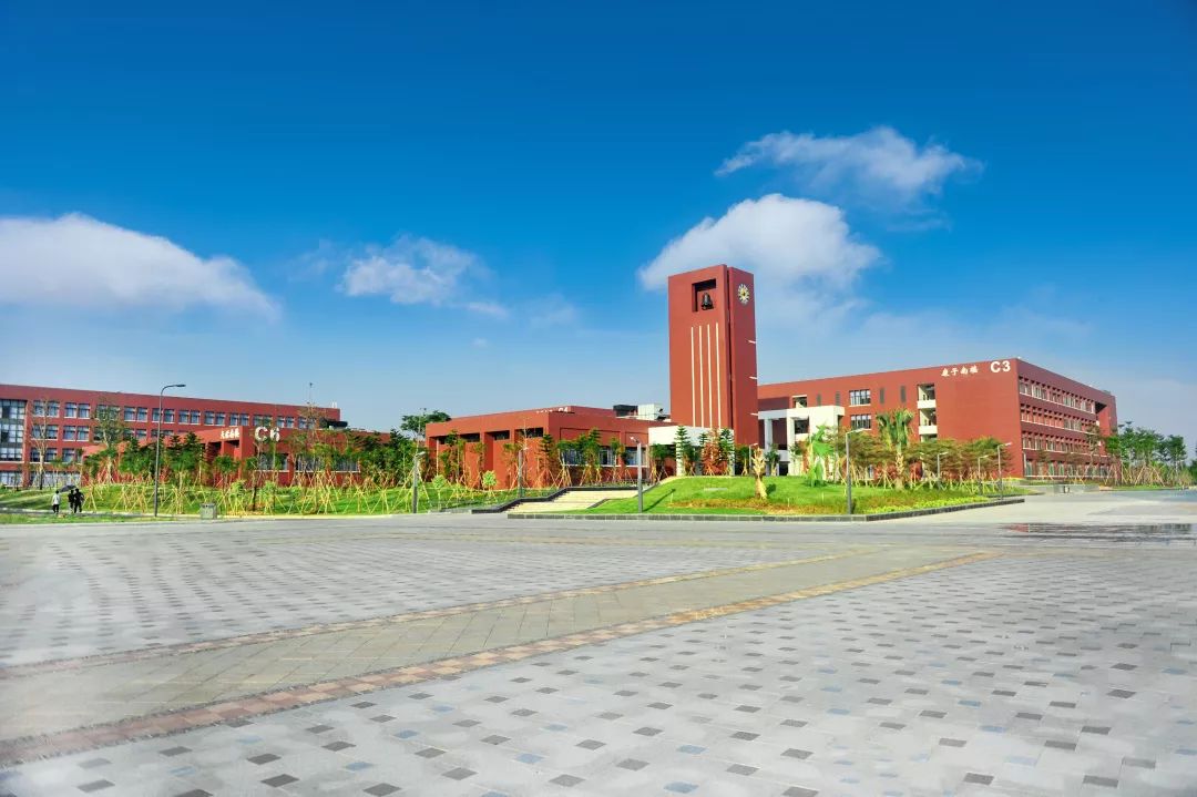 2019年度特辑这一年他们用青春书写了华彩篇章佛科院学子全国大赛获奖