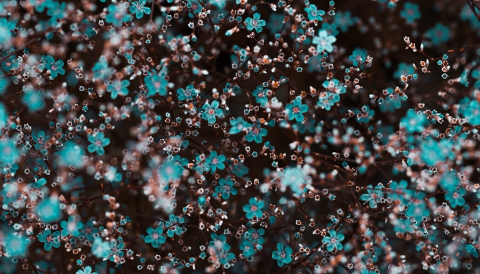 2019中国家电年度汉字出炉：从惊吓走向惊喜的精彩-家电圈官网