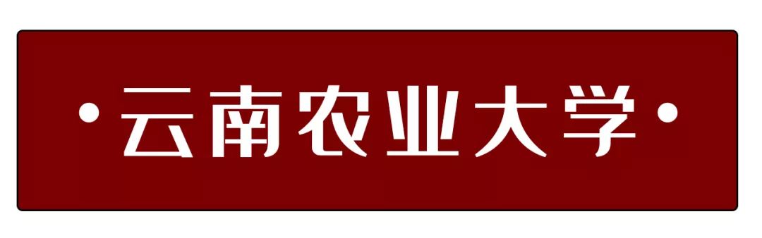 北依龙泉山,东傍盘龙江的  云南农业大学