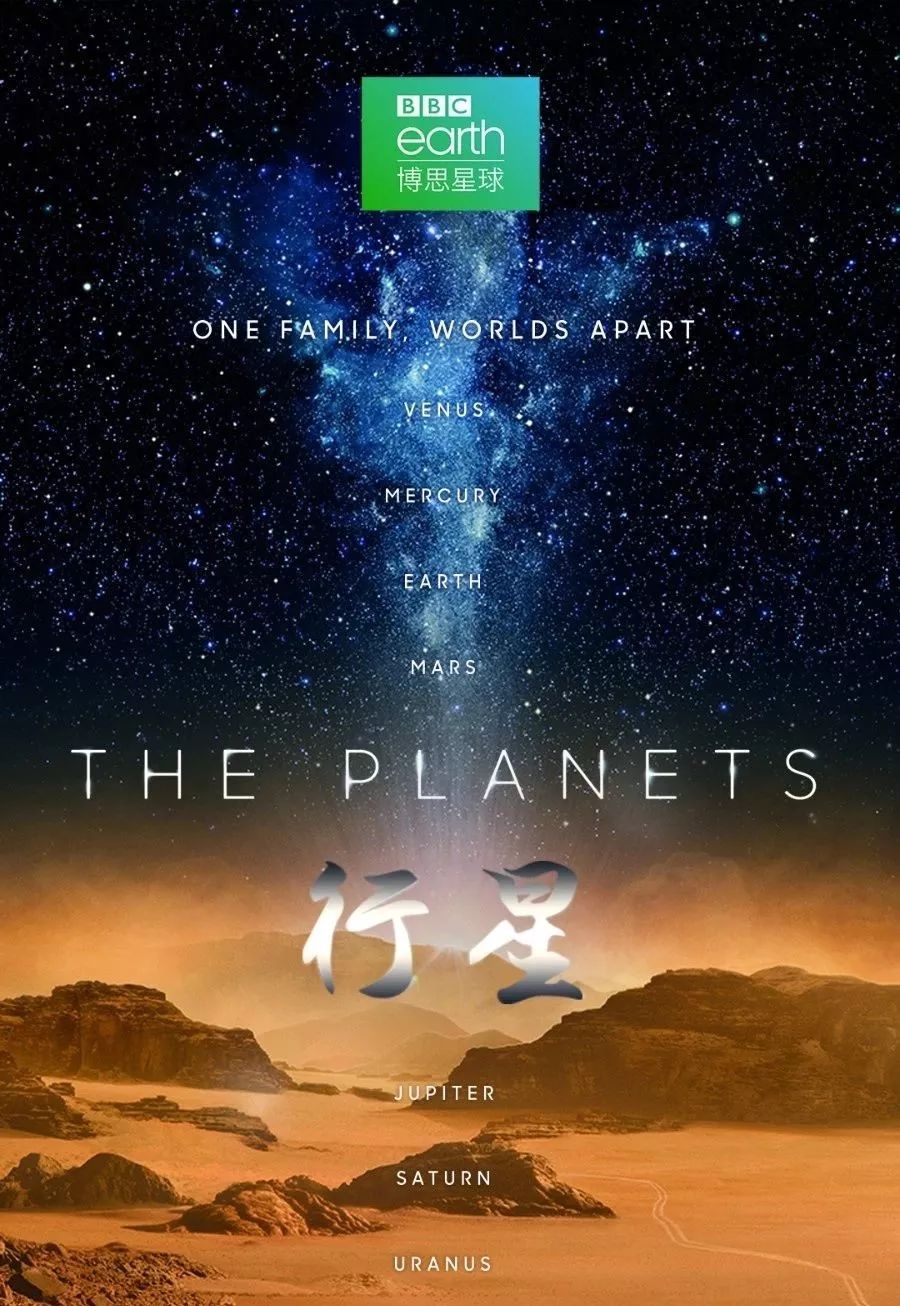 爆肝整理!2019终极影视榜单