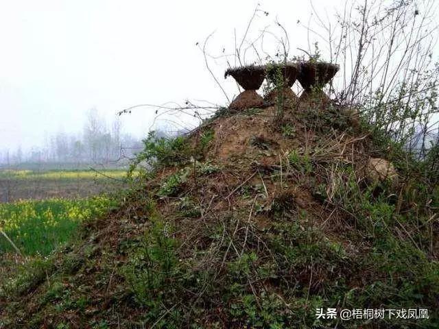 朱元璋欲改葬父母,刘基建议"老坟打伞",是啥葬法?朱元璋信了_凤阳