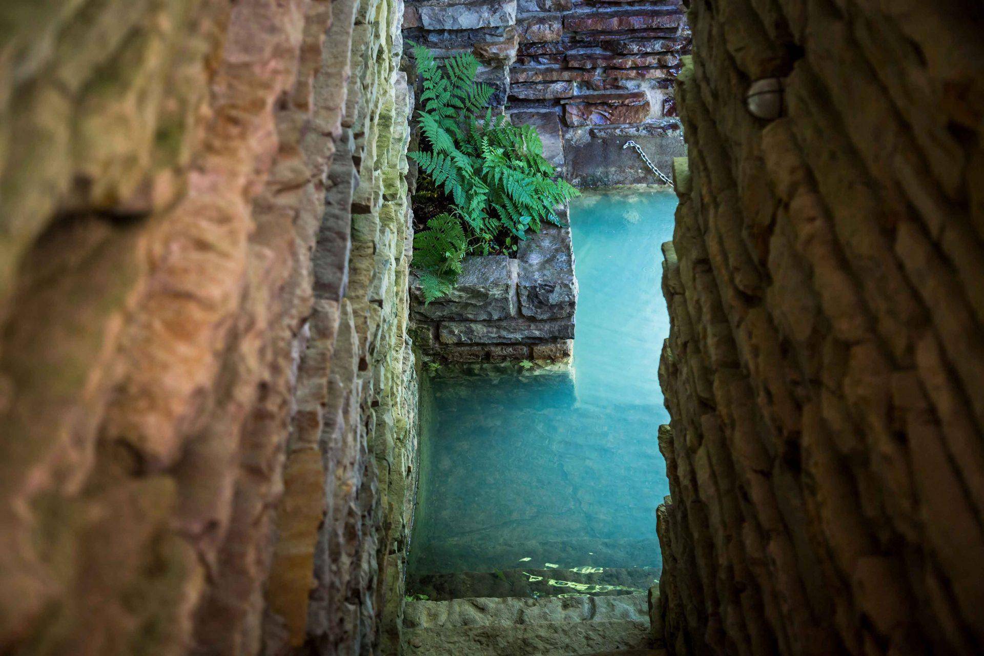 建筑大师在瀑布上造别墅,与自然融为一体,还入选了世界遗产