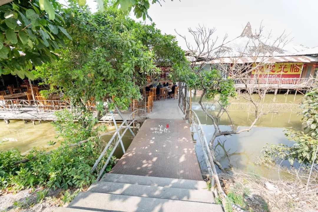 藏在鱼塘边的破旧松皮棚农庄却凭借几道锑盘菜火了十多年