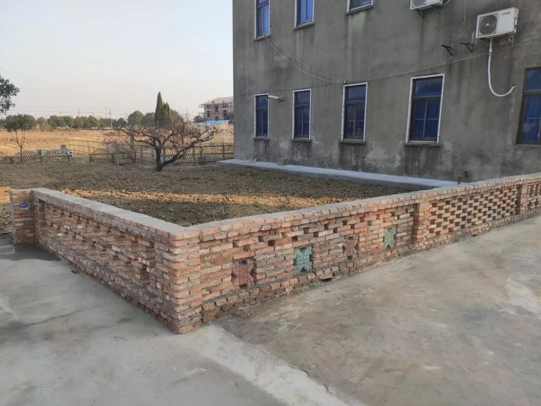 233专项行动尚湖镇三个村组和美之花再度绽放