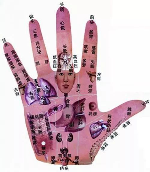 看看你指甲上的半月牙,就知道自己健康与否啦