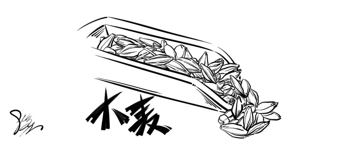 田家少闲月,五月为"麦"忙——大麦_麦芽