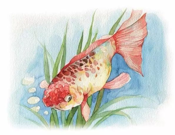 实用小教程教你用水彩小丑鱼