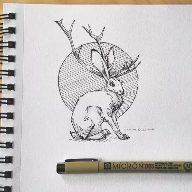简单动物小插画 针管笔简单几笔 形象生动又好看