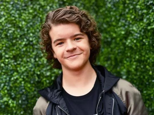 Dustin 谈 怪奇物语 S4 Hawkins