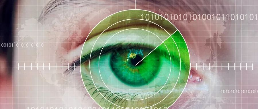 08观察者眼睛如何看到颜色颜色不是你想象的那样第二版