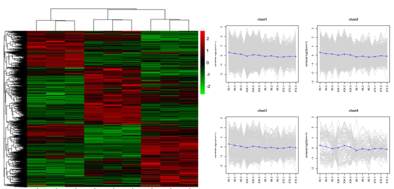 转录组结果如何挖掘关键基因——你不得不知的“套路” _分析