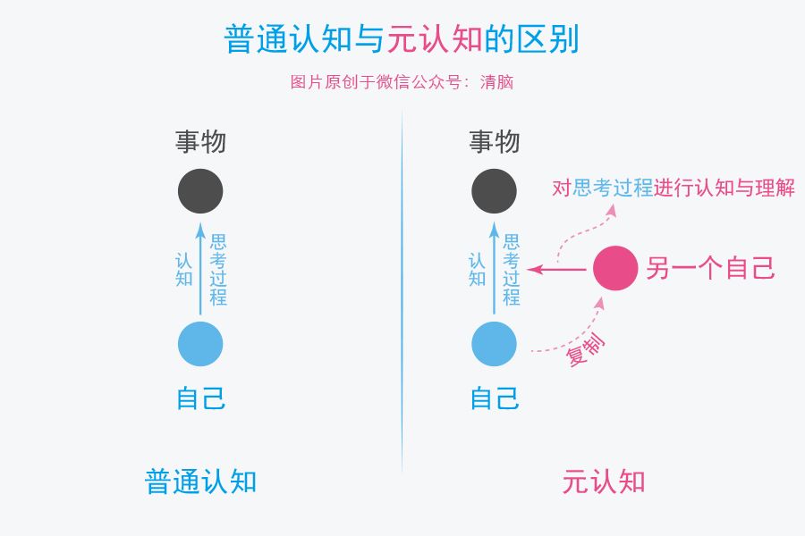 反思,判断,选择的能力,它比认知能力更高一层,是审视并控制认知能力的
