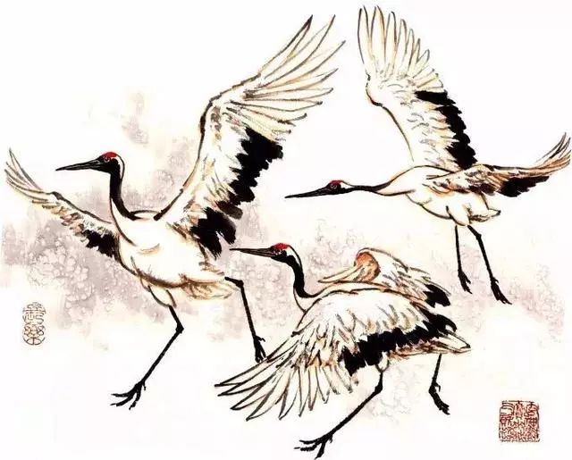 丹顶鹤写意画法,总结的太全面了,点赞收藏
