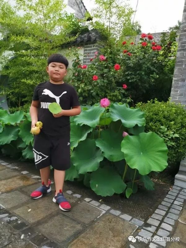 我的最爱雨街的猫玉田校区五年级张钰浩