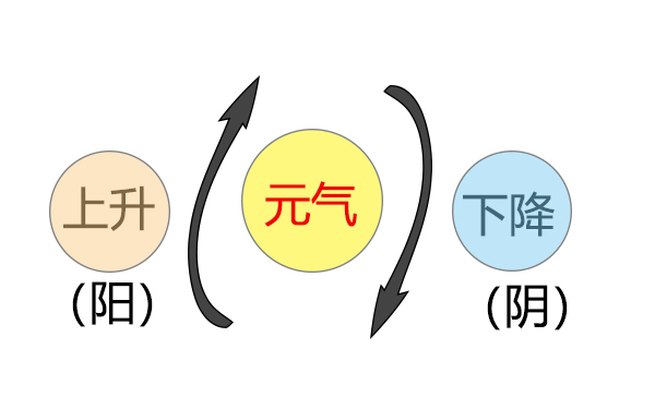 大白话说中医第八集元气如何分五行