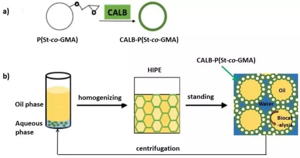 华东理工 酶固定化聚合物纳米粒子稳定的凝胶乳液两相酶催化体系_反应