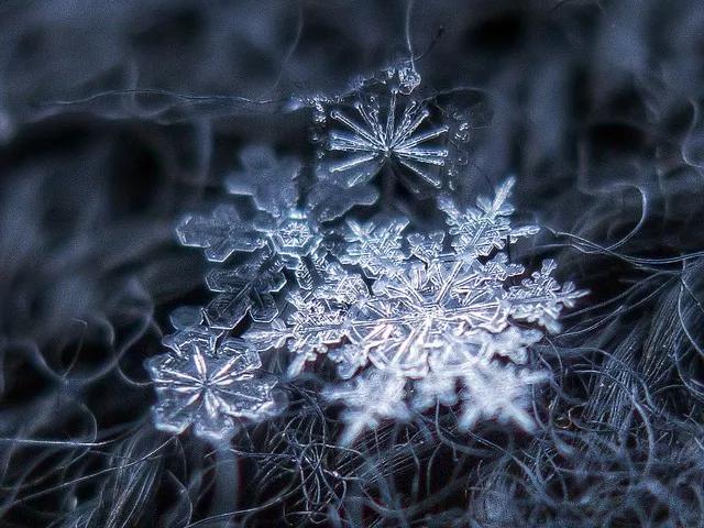 真实雪花照片 飘落图片