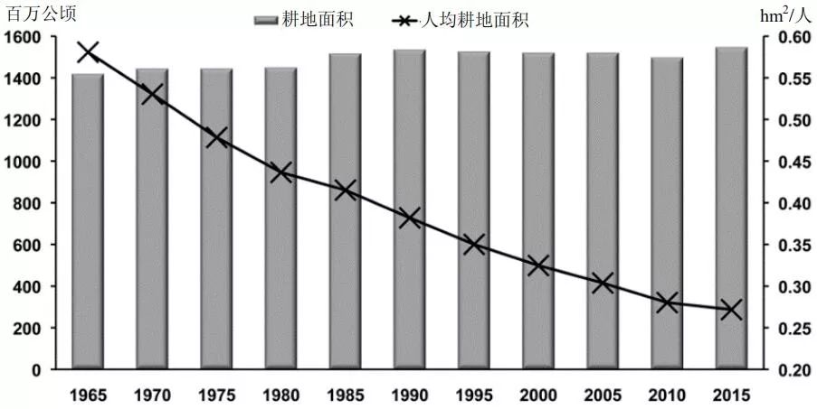 全球人均耕地面积(来源:http/www.fao.org/faostat/en#home)