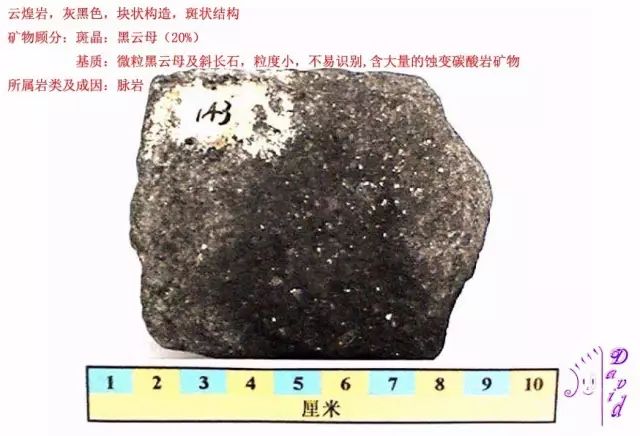 三大岩类190种岩石鉴定图册,看完你就是专家!_砂岩