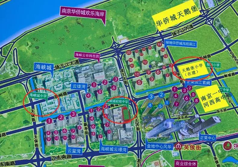 劲爆南师附中入驻河西南学区有变业主激动哭了