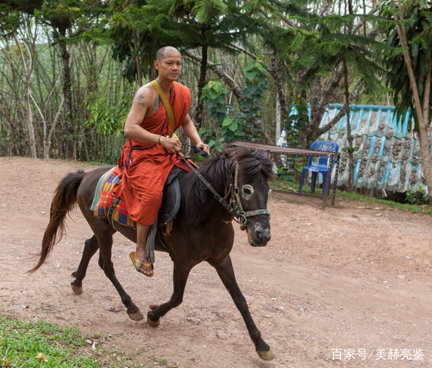 常监和尚:不顾常监之预告骑马兜风僧照常骑上骏马,但未行数里,下桥碰