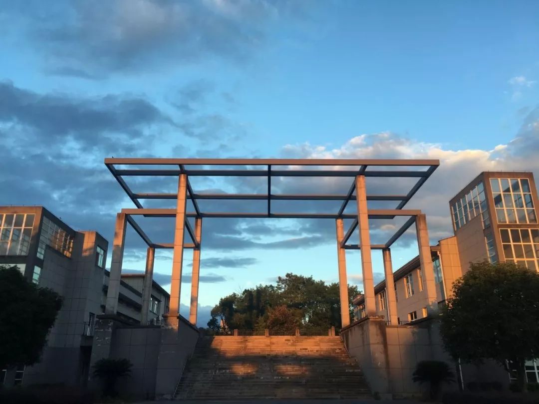 【微宾中·温暖】宾虹人2020年心声