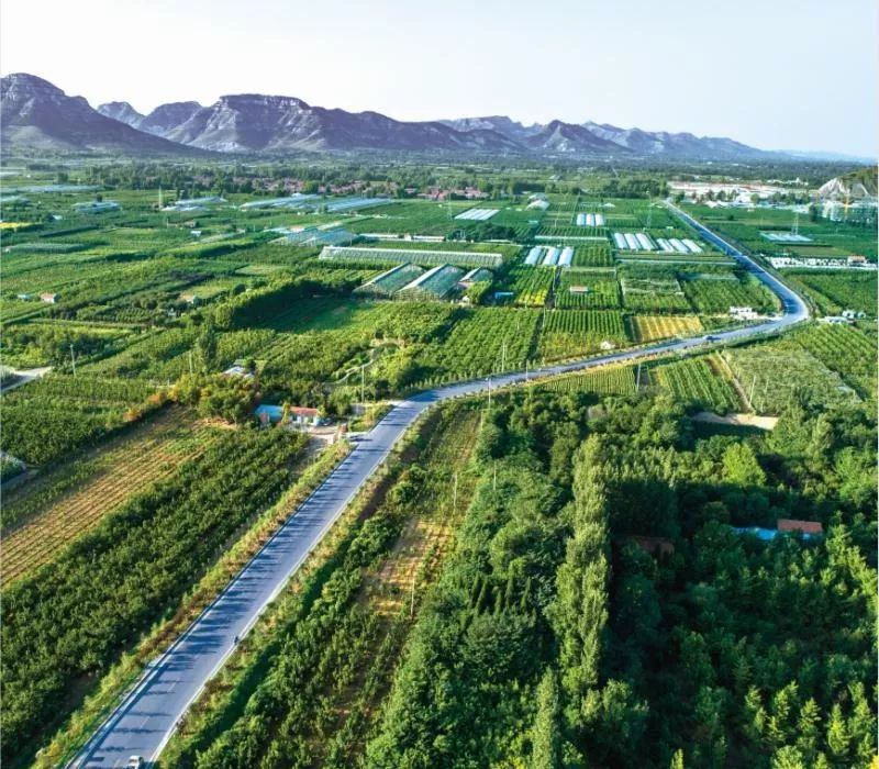 五井镇2020年新年献词拥抱新时代奋斗新征程