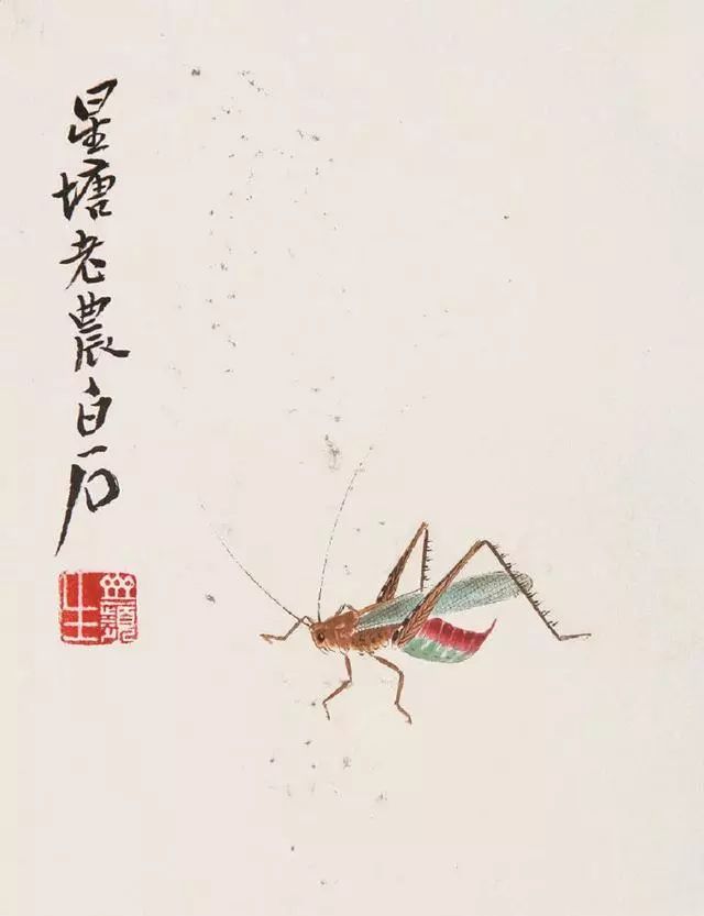 齐白石葫芦蚂蚱白菜草虫等高清草虫作品欣赏