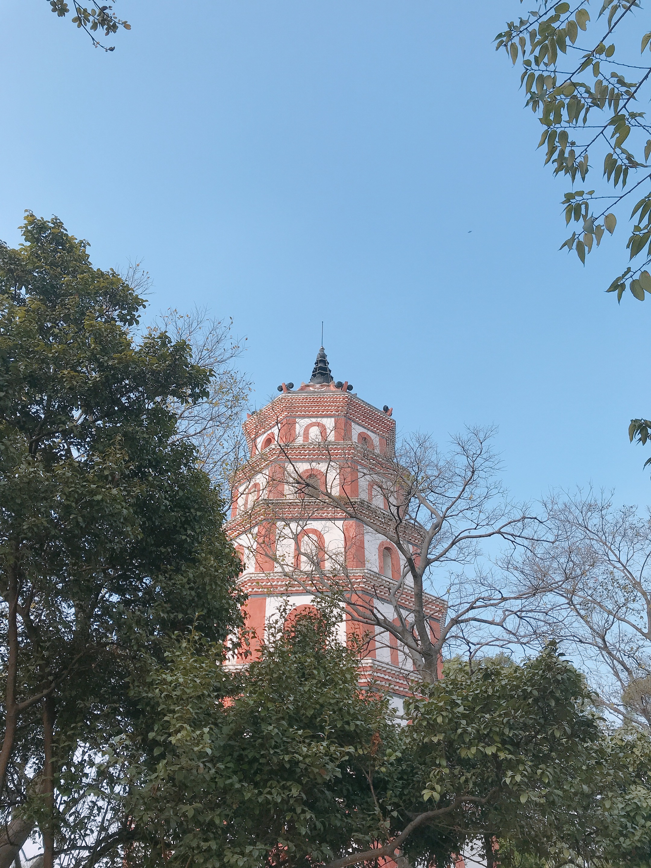 顺德打卡景点图片