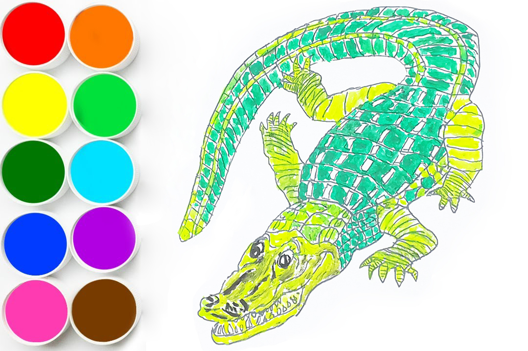 教你怎么一步一步给鳄鱼简笔画涂颜色,这个小窍门你学到了吗?