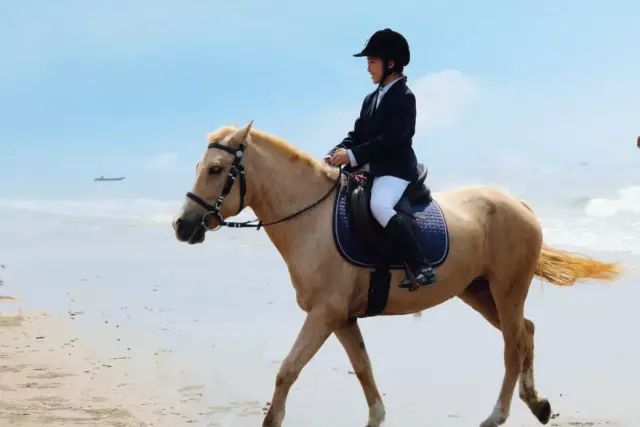 1座平南人去了就不想离开的城市…_东兴