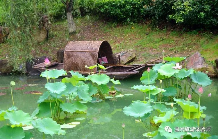 梅县香花佛事打莲池图片