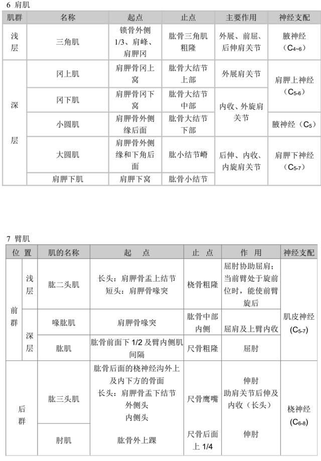 医学知识肌肉起止点作用神经支配说明大全